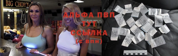 стафф Арсеньев