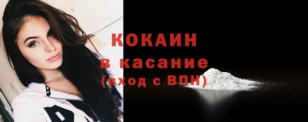 стафф Арсеньев